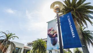 UC Santa Barbara flag with palm tress, buildings, and sky in the background UC Santa Barbara flag with palm tress, buildings, and sky in the background